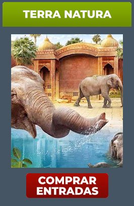 CAJA TERRA NATURA